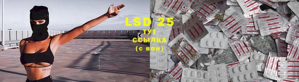 бошки Абаза