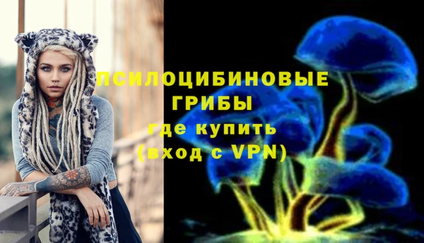 ECSTASY Абинск