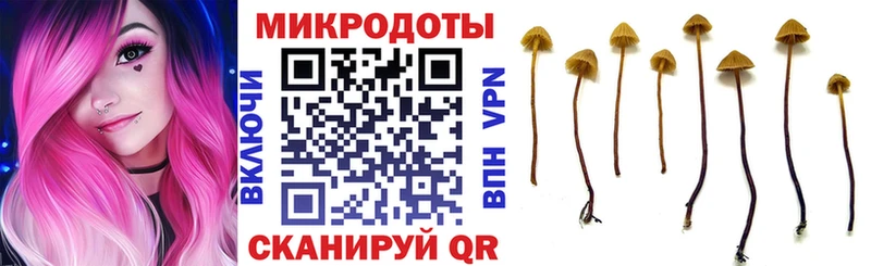 Псилоцибиновые грибы мухоморы  Богданович 